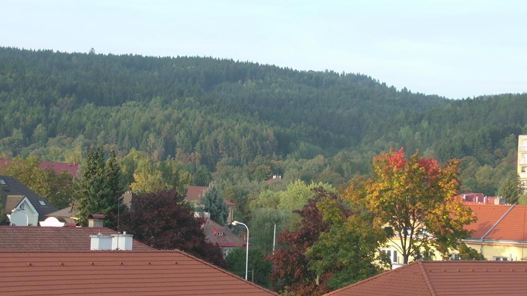 Apartments Meixner Mariánské Lázně Kültér fotó